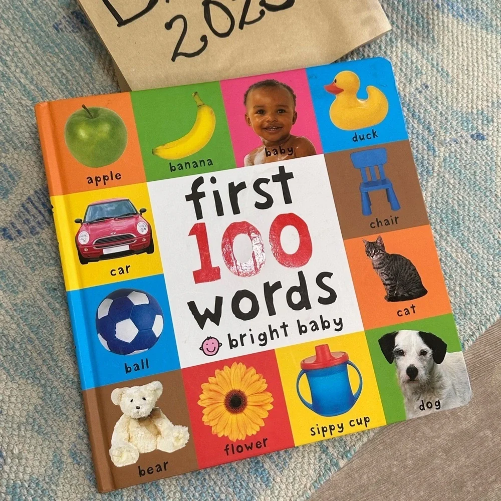 First 100 Words Book - Multicolor Large Baby Toddler Learning Board Book